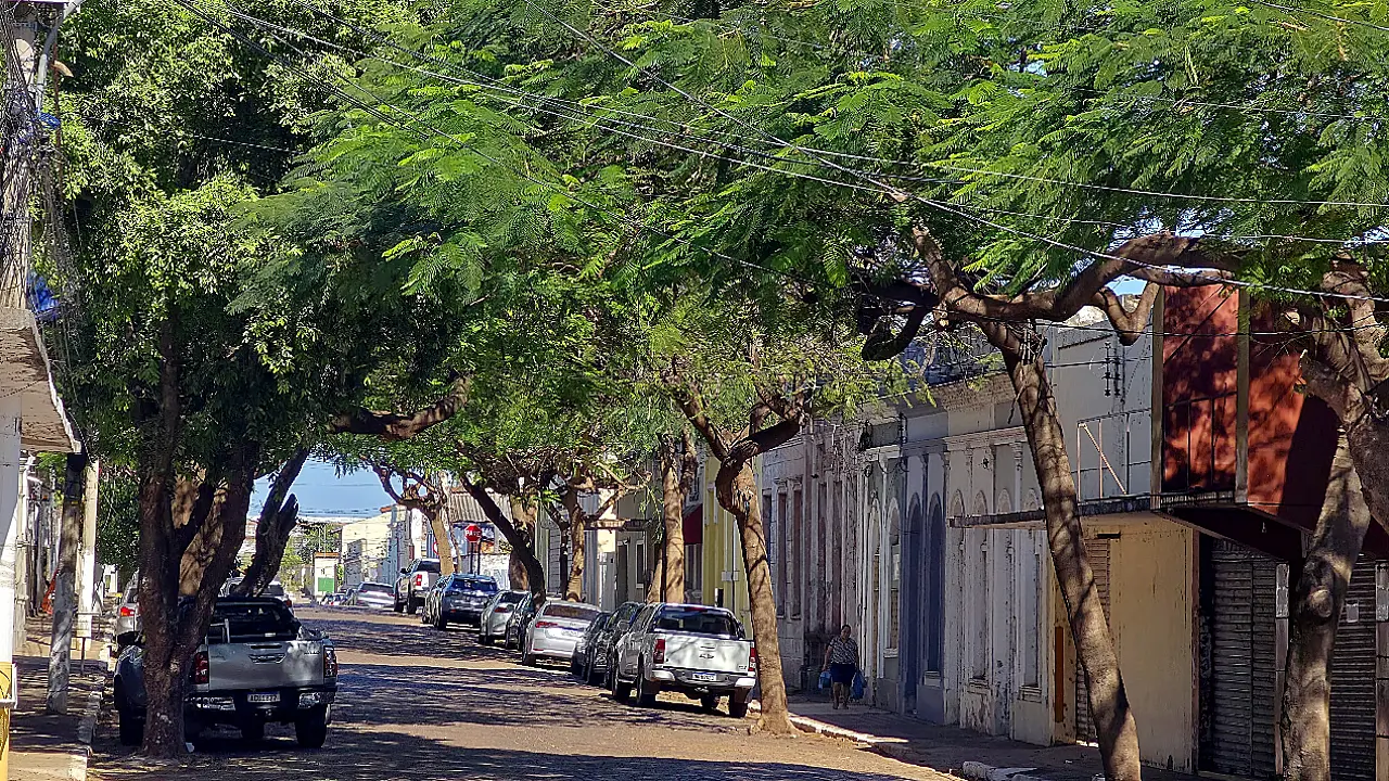 Hanna propõe projeto "Nasce uma criança, planta-se uma Árvore"