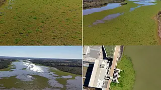 Justiça determina ações para conter avanço de plantas aquáticas no Rio Pardo