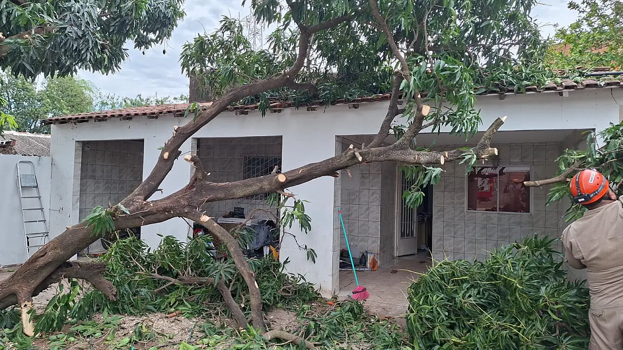 Bombeiros atendem cinco ocorrências de queda de árvores em Corumbá e Ladário