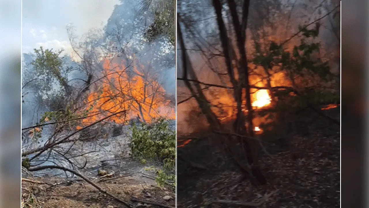 Incêndio de grandes proporções atingiu área de mata entre Corumbá e Ladário