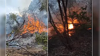 Incêndio de grandes proporções atingiu área de mata entre Corumbá e Ladário
