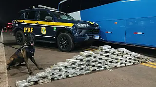 Operação Vastum apreende mais de 313 kg de drogas em dois dias de cerco na BR-262