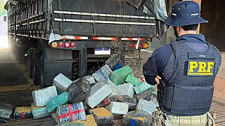 Maconha é encontrada escondida em 5,2 toneladas de carga de milho em MS
