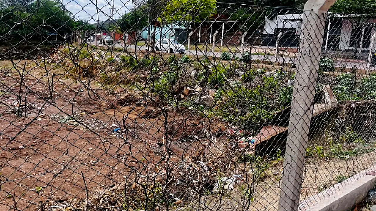 Hanna defende intervenções na drenagem de águas pluviais