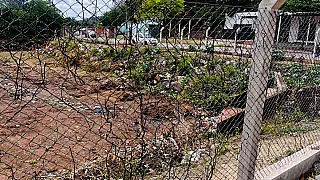 Hanna defende intervenções na drenagem de águas pluviais