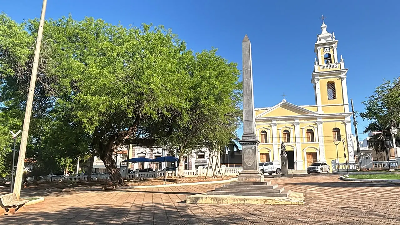 Tecnologia e participação popular ajudam a planejar o futuro das árvores em Corumbá