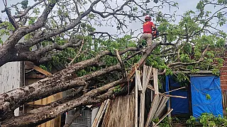 Bombeiros removem mais sete árvores que ameaçavam imóveis em Corumbá