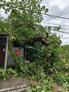 Temporal provoca novas quedas de árvores e alagamentos em Corumbá e Ladário
