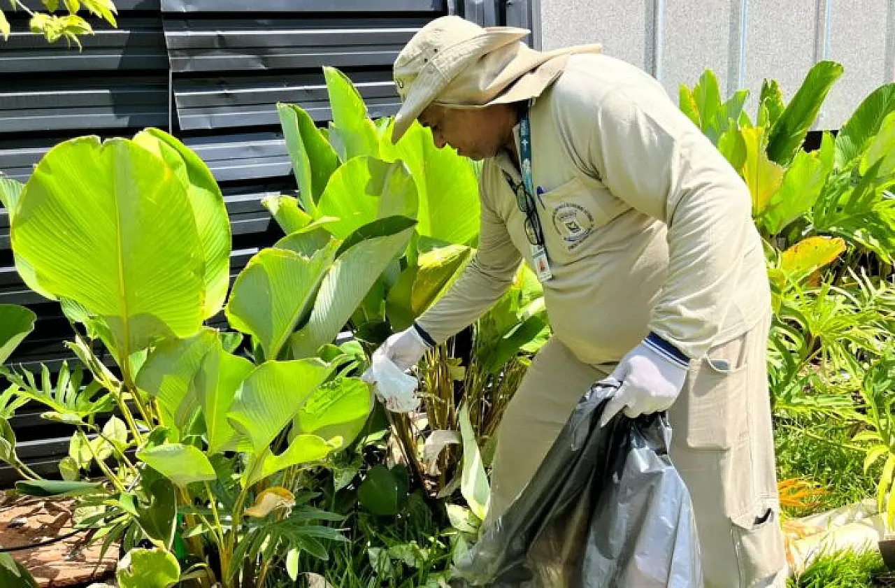 Corumbá tem segunda maior incidência de dengue em MS, aponta boletim