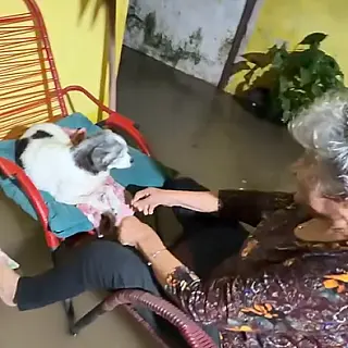 Socorro a casal de idosos e animais em casa alagada emociona equipes em Corumbá
