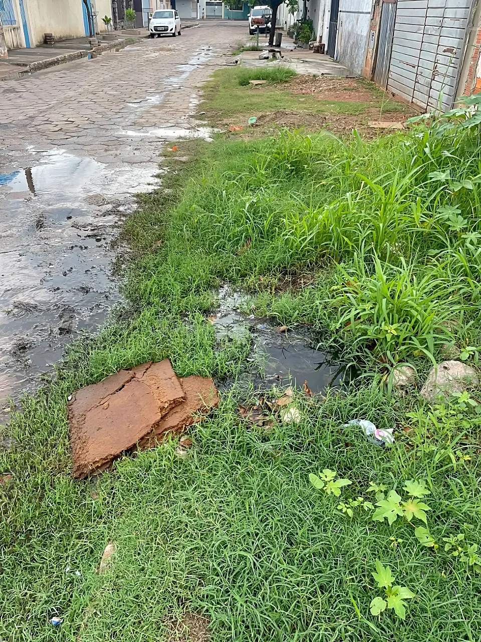 Vereadores cobram mutirão preventivo contra alagamentos em Corumbá