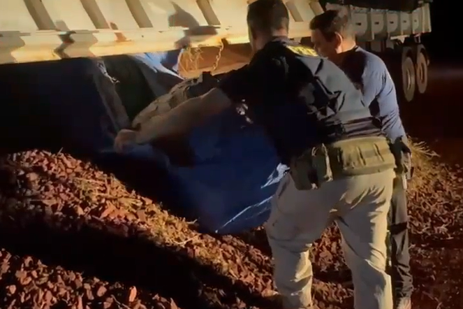 Tabletes estavam em meio a carga de minério em caminhão que saía de Corumbá.