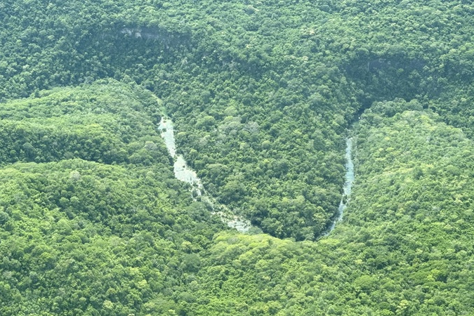 Área de nascente do rio Salobra com vegetação.